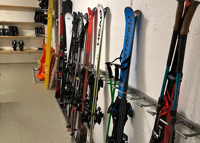 1-room - Newly Renovated And Apartment